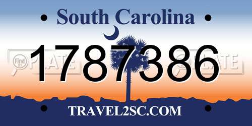1787386 South Carolina License Plate