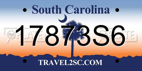 17873S6 South Carolina License Plate