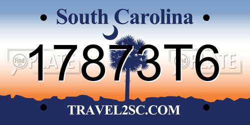 17873T6 South Carolina License Plate