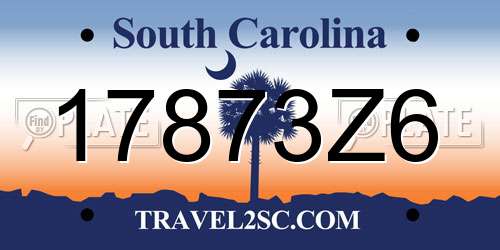 17873Z6 South Carolina License Plate