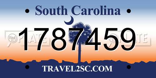 1787459 South Carolina License Plate