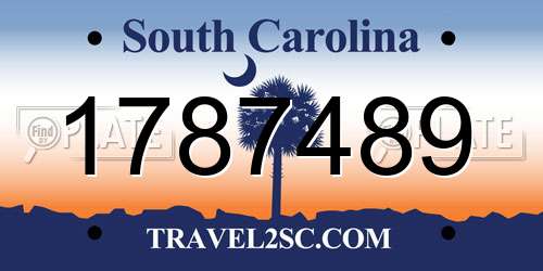 1787489 South Carolina License Plate