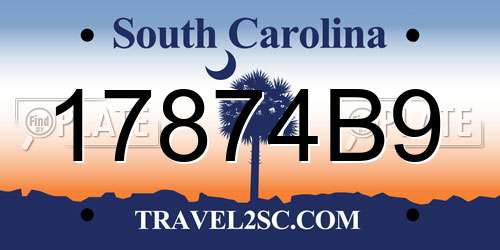 17874B9 South Carolina License Plate