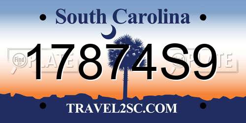 17874S9 South Carolina License Plate
