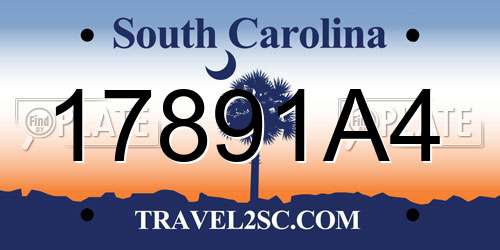 17891A4 South Carolina License Plate