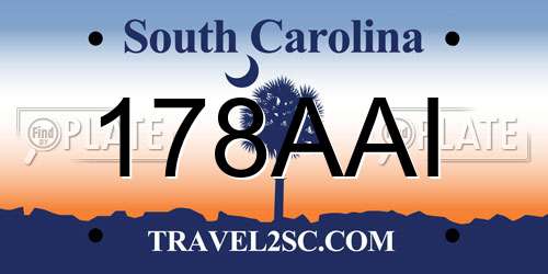 178AAI South Carolina License Plate