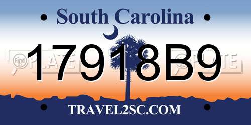 17918B9 South Carolina License Plate