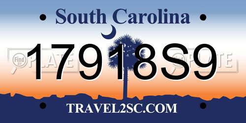 17918S9 South Carolina License Plate