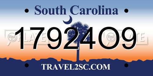 17924O9 South Carolina License Plate