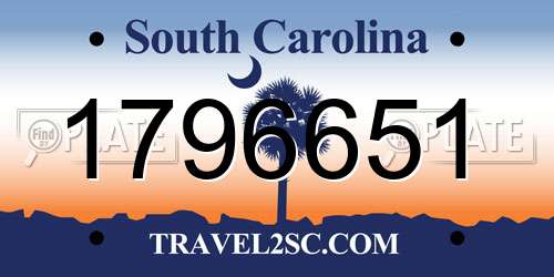1796651 South Carolina License Plate