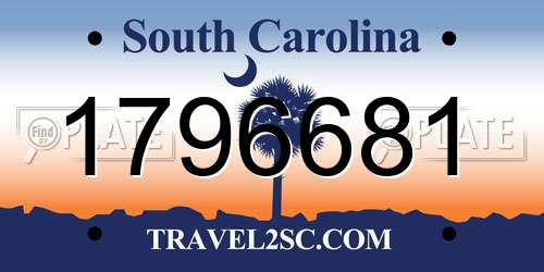 1796681 South Carolina License Plate