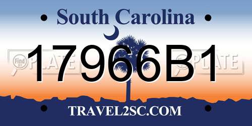 17966B1 South Carolina License Plate