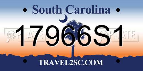 17966S1 South Carolina License Plate