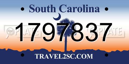1797837 South Carolina License Plate