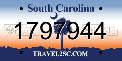 1797944 South Carolina License Plate