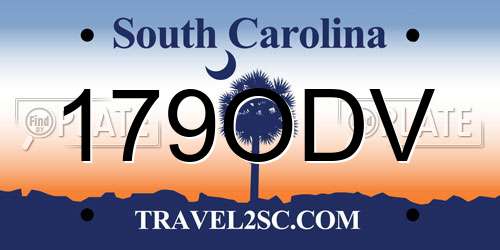 179ODV South Carolina License Plate