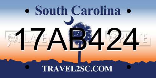 17AB424 South Carolina License Plate