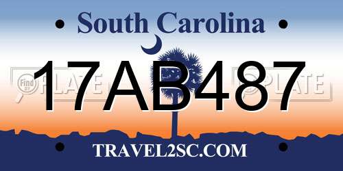 17AB487 South Carolina License Plate