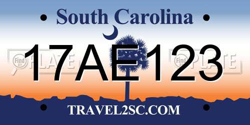 17AE123 South Carolina License Plate