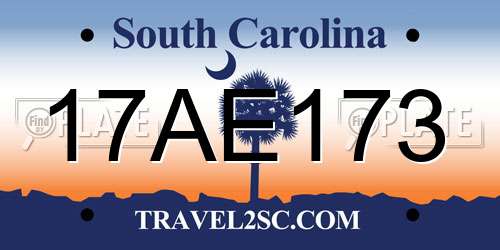 17AE173 South Carolina License Plate