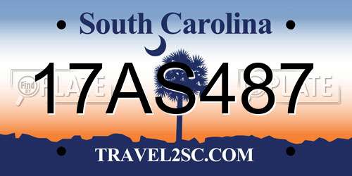 17AS487 South Carolina License Plate