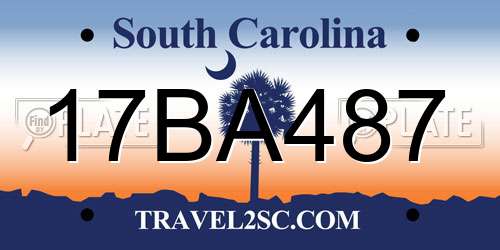 17BA487 South Carolina License Plate
