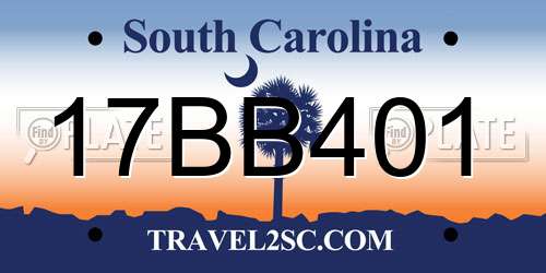 17BB401 South Carolina License Plate