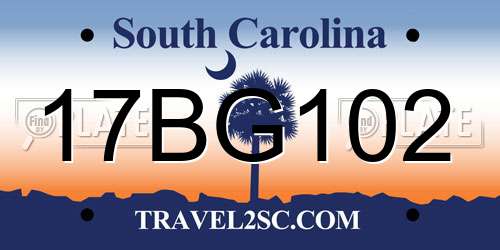 17BG102 South Carolina License Plate