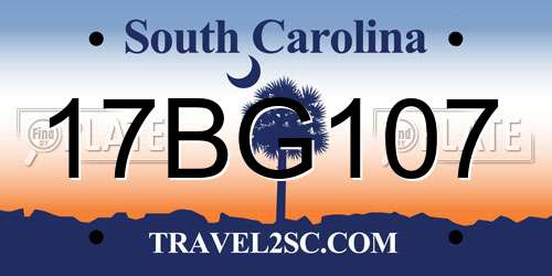 17BG107 South Carolina License Plate