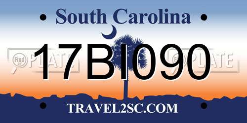 17BI090 South Carolina License Plate