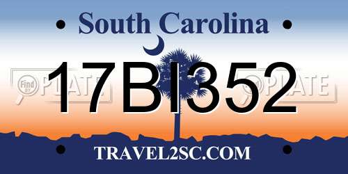 17BI352 South Carolina License Plate