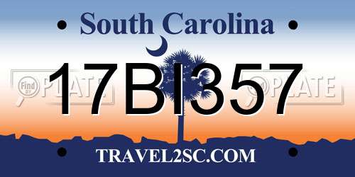 17BI357 South Carolina License Plate