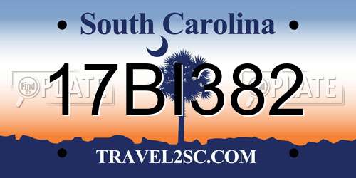17BI382 South Carolina License Plate