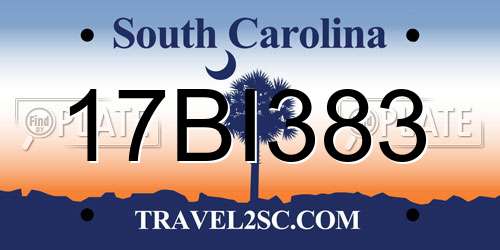 17BI383 South Carolina License Plate