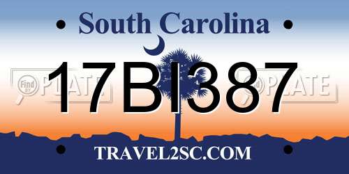 17BI387 South Carolina License Plate