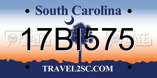 17BI575 South Carolina License Plate