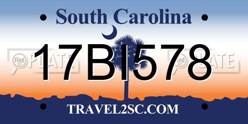 17BI578 South Carolina License Plate