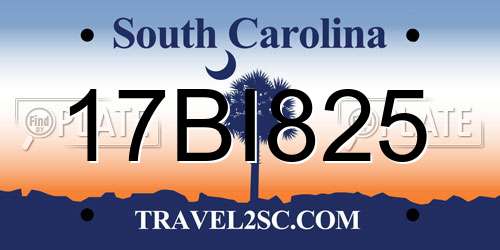 17BI825 South Carolina License Plate