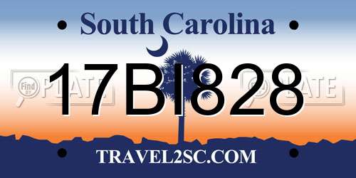 17BI828 South Carolina License Plate
