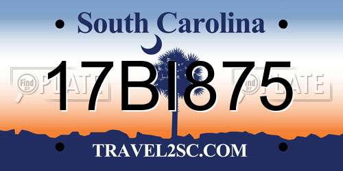17BI875 South Carolina License Plate