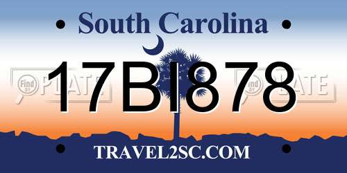 17BI878 South Carolina License Plate