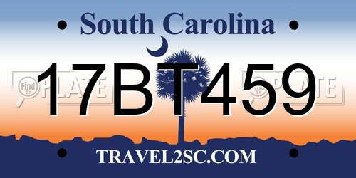 17BT459 South Carolina License Plate