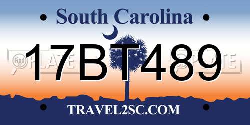 17BT489 South Carolina License Plate