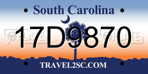 17D9870 South Carolina License Plate