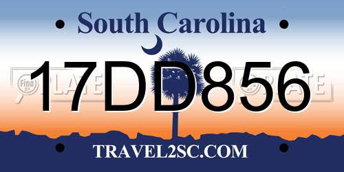 17DD856 South Carolina License Plate