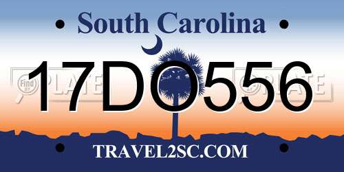 17DO556 South Carolina License Plate