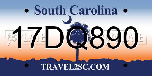 17DQ890 South Carolina License Plate