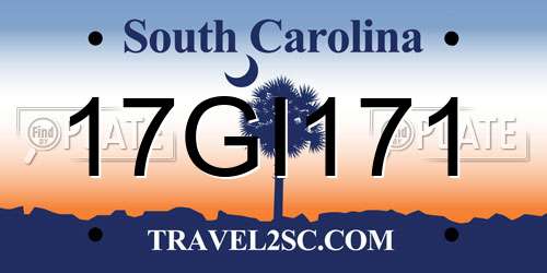 17GI171 South Carolina License Plate