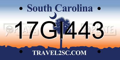 17GI443 South Carolina License Plate