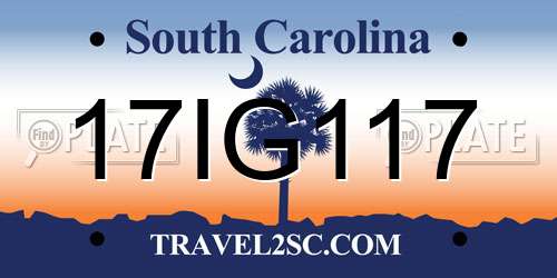 17IG117 South Carolina License Plate